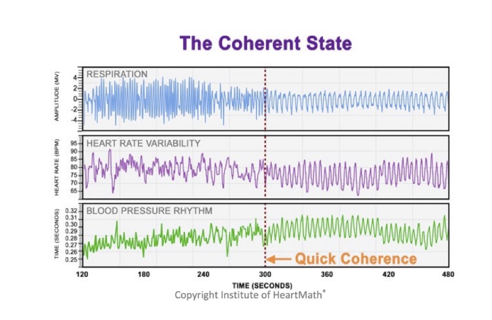 Enter ‘The zone’