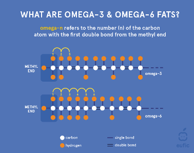 Essential fatty acids explained